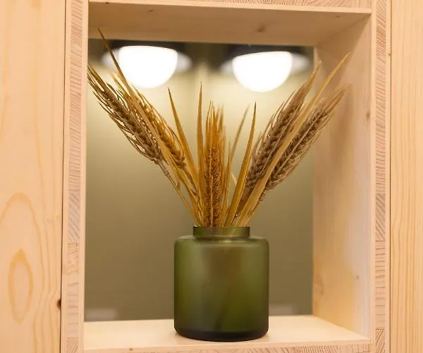 Hotel Mad Mount & 3*